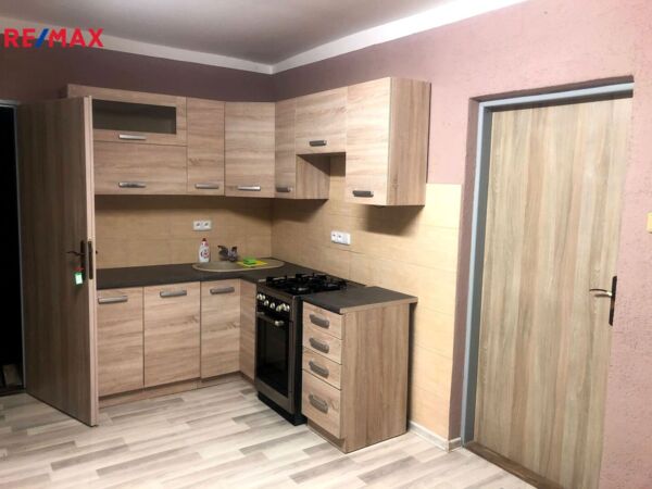 REMAX Delux