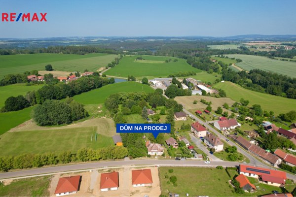 REMAX Delux