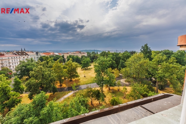 REMAX Delux