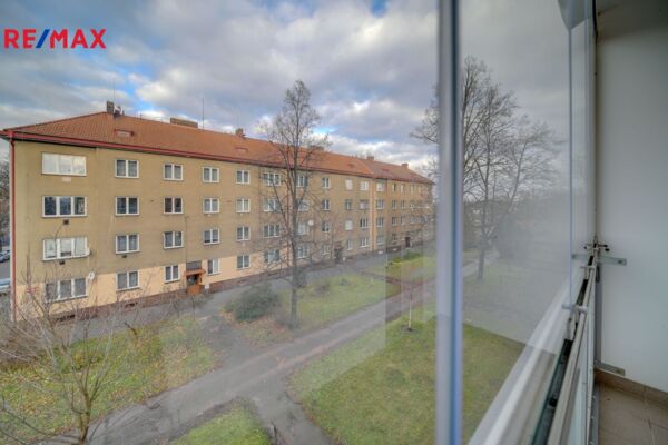 2603458.jpg