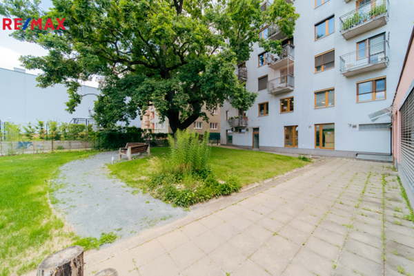 2894494.jpg