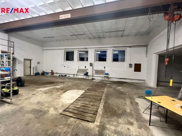 REMAX Delux
