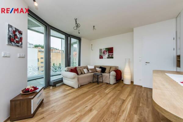 REMAX Delux