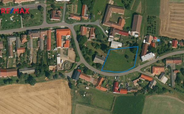 REMAX Delux