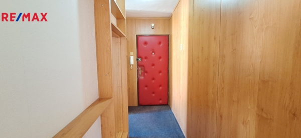 2879411.jpg