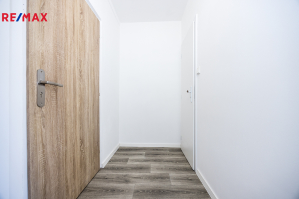 REMAX Delux