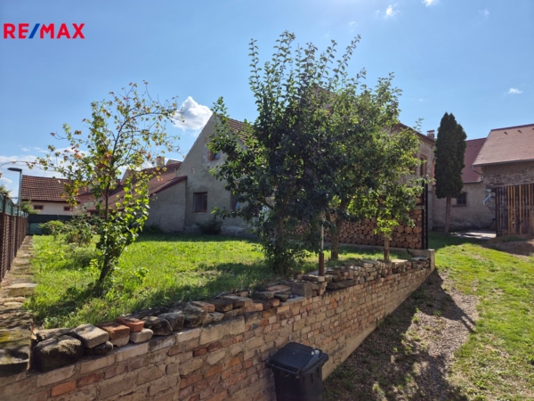 REMAX Delux