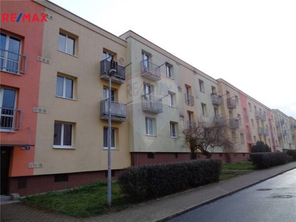 2950249.jpg