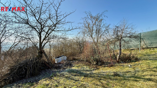 Prodej nemovitostí Brno