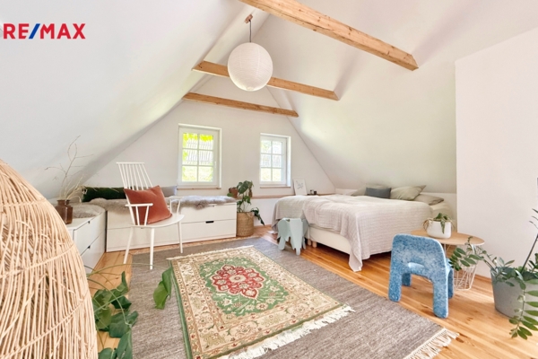 REMAX Delux