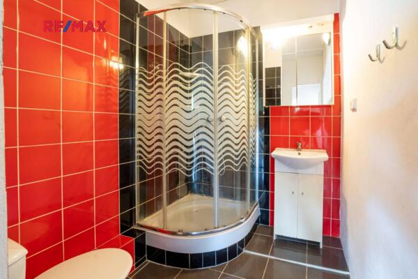 REMAX Delux