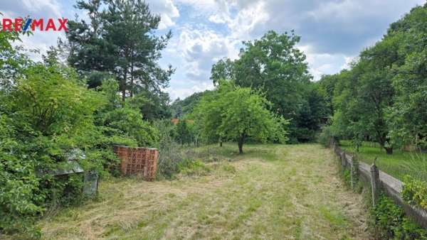 2919127.jpg