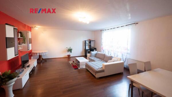 REMAX Delux