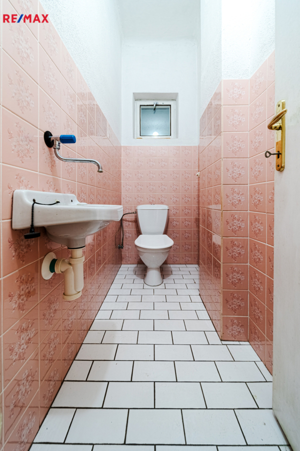 REMAX Delux