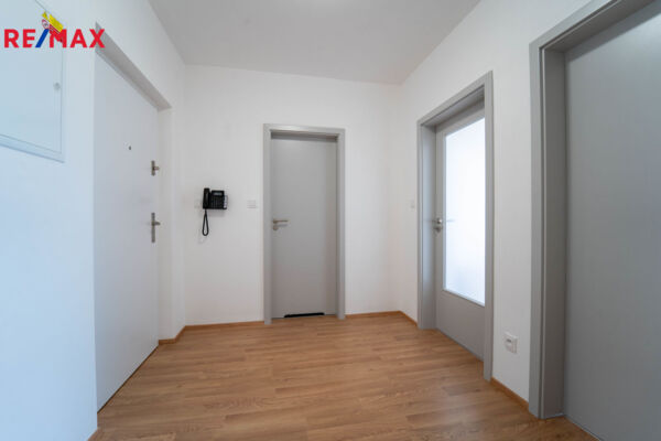 REMAX Delux