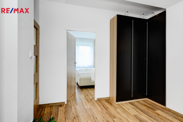 REMAX Delux