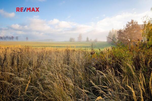 REMAX Brno