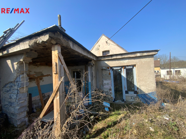 REMAX Delux