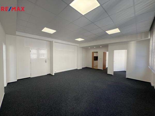 REMAX Delux