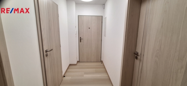 2888644.jpg