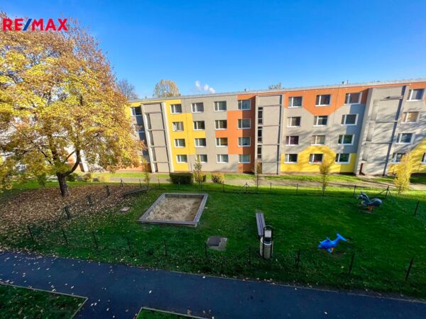 REMAX Delux