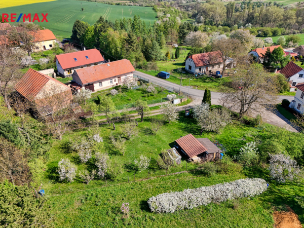 REMAX Delux