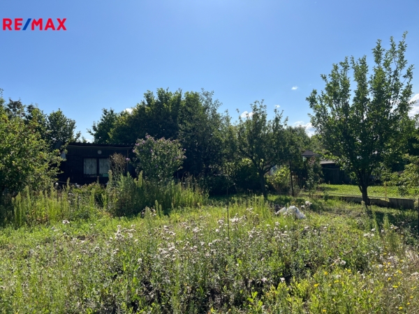 REMAX Brno