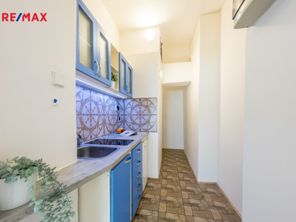 REMAX Delux