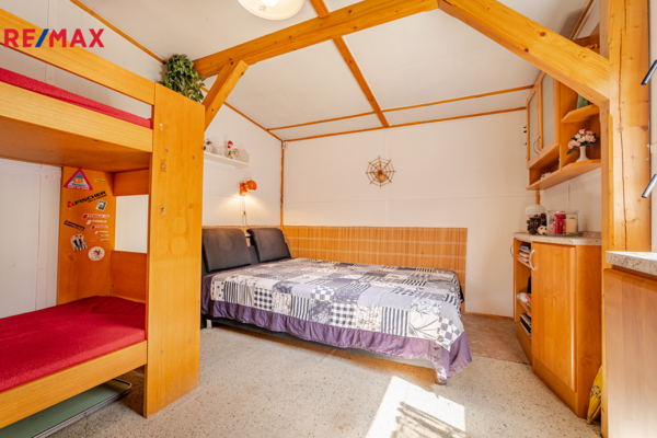 REMAX Delux