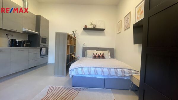 Pronájem bytu 1+1, 35 m2, Praha
