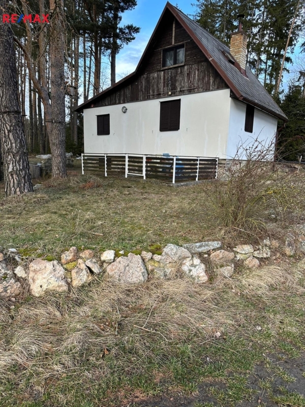 REMAX Delux