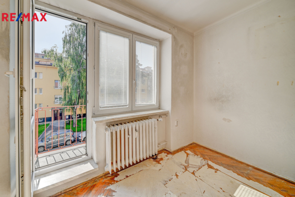 REMAX Delux