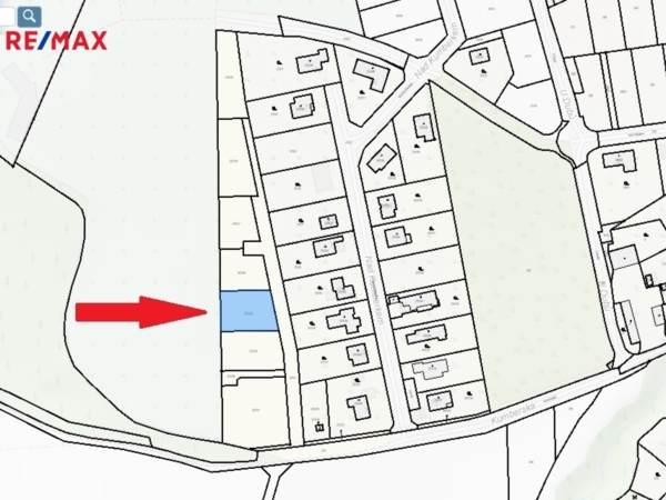 2901638.jpg