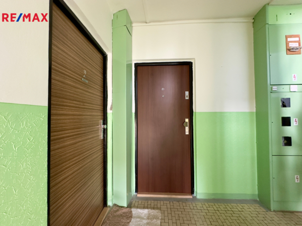 REMAX Delux
