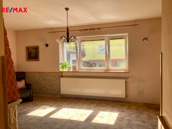 REMAX Delux