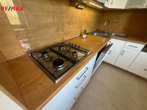 REMAX Delux