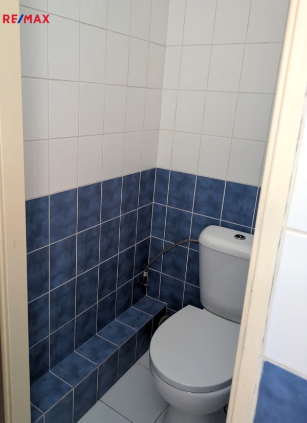 2903152.jpg