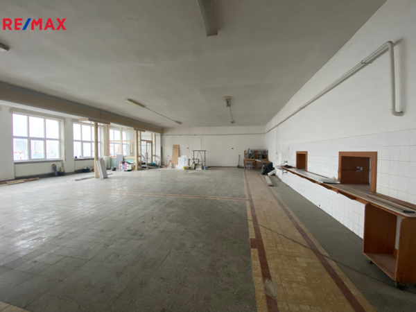 Pronájem výrobního prostoru, 302 m2, Rousínov