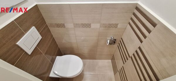 2806751.jpg
