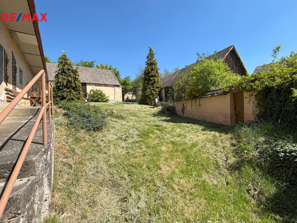 REMAX Delux