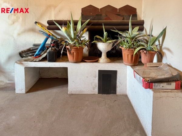 REMAX Delux