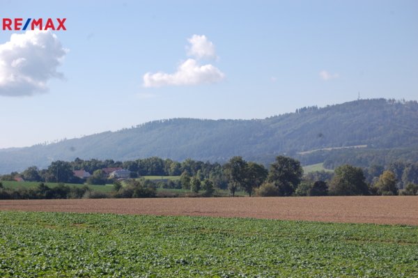 Ráječko