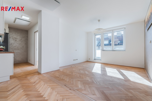 REMAX Delux