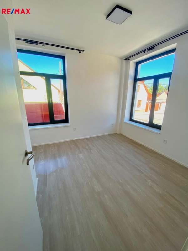 REMAX Delux