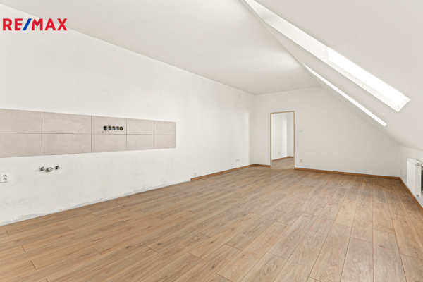 REMAX Delux