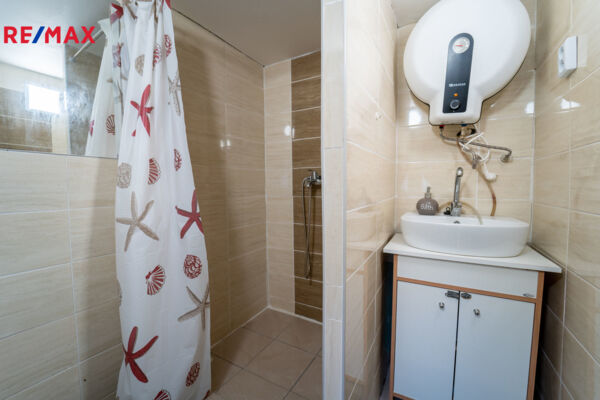 REMAX Delux