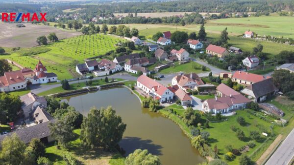 REMAX Delux