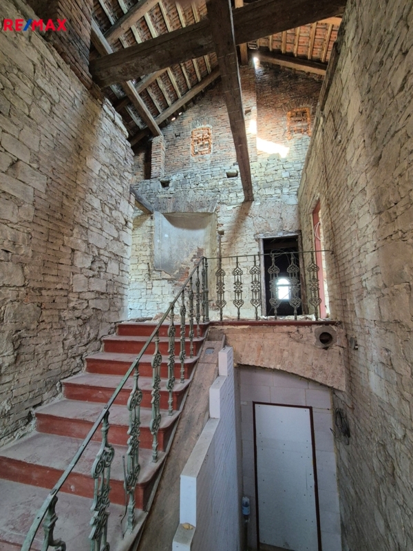 2931861.jpg