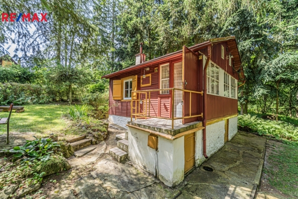 REMAX Delux