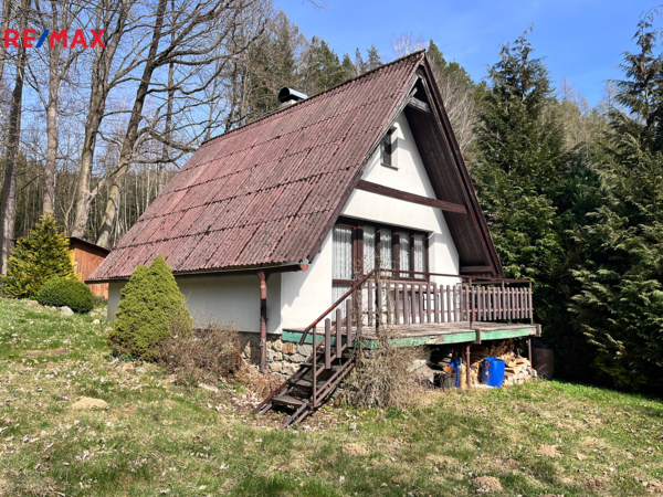 REMAX Delux